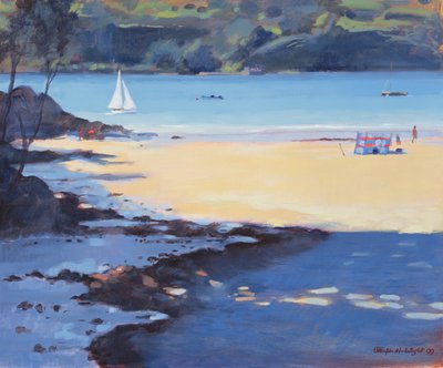 Millbay, Salcombe, 1998 door Jennifer Wright